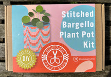 Load image into Gallery viewer, Stitched Bargello Plant Pot Kit 🪴
